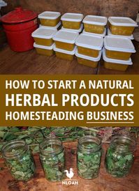 Starting a herbal homesteading business may seem daunting, but it's actually pretty easy... and cheap. Here's what you need to worry about. #nloah #homesteading #business #homemade