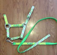 Personalized Monogrammed Embroidered Equine Horse Halter / Horse Collar / Horse Tack CANDY DOTS on Etsy, $18.00