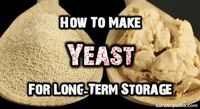 Bread, beer, and wine are all foods that have been part of history for eons, but they all require yeast to make.What if SHTF? Packaged yeasts are great, but