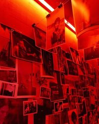 The Red Room🌹