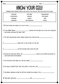 7th Grade Life Science Worksheets