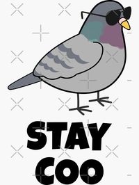 "Stay Coo" Sticker for Sale by Vladan Seva | Redbubble