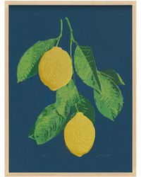 Lemons by Jen Kindell,