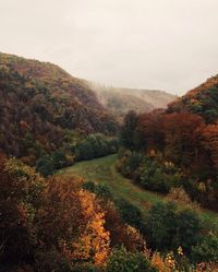 #MountScenery Temperate broadleaf and mixed forest, #Shrubland #Tree #Biome Woodland, Vegetation, Deciduous - Follow #extremegentleman for more pics like this!