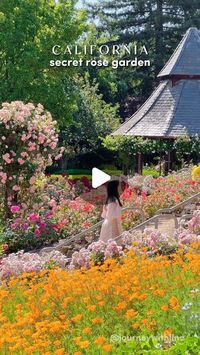 Lina Irwanto| San Francisco Travel & Lifestyle on Instagram: "A secret rose garden just an hour away from San Francisco is blooming with the most vibrant roses. The last frame is my favorite view of the garden 😍

📍 The Cowden Rose Garden at Heather Farm Park, Walnut Creek. 

This rose garden is part of @gardenshf . ✨Save this reel for your visit✨
🌹 free to visit, parking is also free
🌹 open from 7AM to sunset, occasionally close for private event, check their social media.
🌹 bloom in May to June
🌹 kids and family friendly 
🌹 part of Heather Farms park which has playground, pond, children garden and more blossoms through out the year. 
🌹 video was taken on 5/22/2023. But I visited the garden few weeks ago and it’s blooming already. 

Have you been to this beautiful garden? 

Thank y