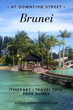 the front cover of a travel brochure with palm trees in the background and text that reads, at downtime street brunei