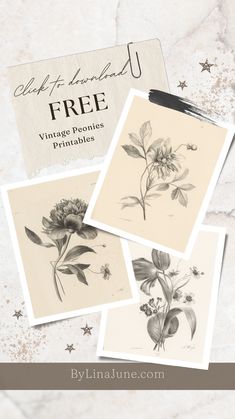 three pictures of flowers and leaves with the words, free vintage posies printables