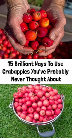 a man holding up some fruit in his hands with the words brilliant ways to use crappies you've probably never thought about