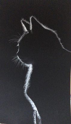 a black and white drawing of a cat