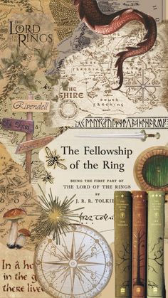 the fellowship of the ring by j r r martin jr, illustrated by harry potter