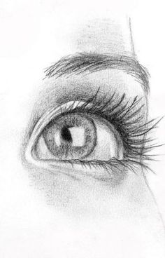 a pencil drawing of an eye with long lashes