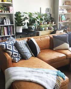 a living room filled with furniture and lots of bookshelves full of plants on top of them