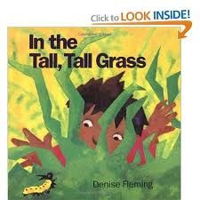 the book cover for in the tall, tall grass