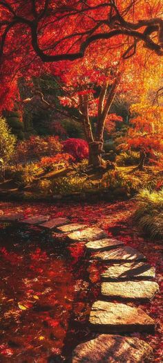 a stone path leading to a pond surrounded by trees with red leaves on the ground