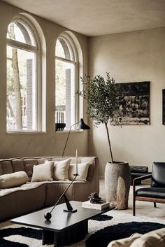 a living room filled with furniture next to two large windows and a plant on top of a coffee table