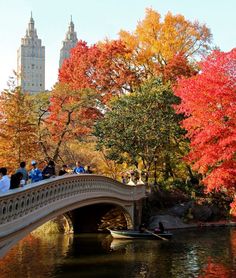 people on a bridge over a river in central park during the fall season with colorful trees