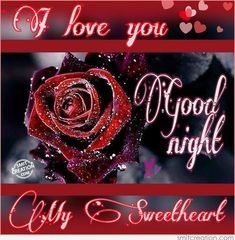 a red rose with the words i love you good night and my sweetheart on it