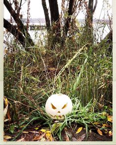 a white pumpkin sitting in the grass next to some bushes and trees with eyes drawn on it