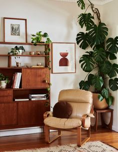 a living room filled with furniture and a large plant on top of a wooden shelf