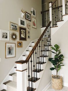 Attractive home decor stairs wall design ideas Stair Photo Walls, Decoration Cage Escalier, Stairs Wall Decor Ideas, Stairs Wall Decor, Stair Wall Decor, Stairway Wall, Gallery Wall Staircase, Staircase Wall Decor