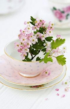 pink flowers in a teacup on a white table