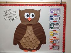 a bulletin board with an owl on it