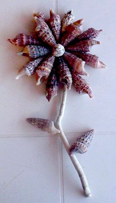 a flower made out of sea shells on a tile floor