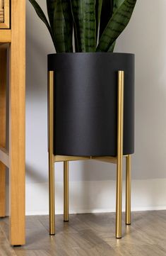 a potted plant sitting on top of a wooden floor next to a table and chair