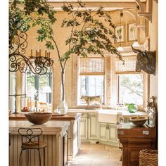 a kitchen filled with lots of counter top space next to a tree in a vase