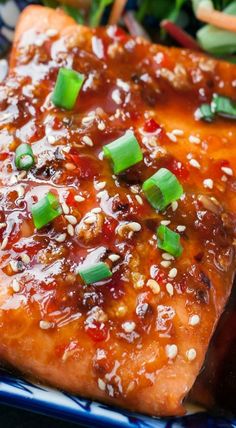 a piece of meat covered in sauce and green onions