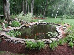 a pond surrounded by rocks and plants in the middle of a park with a bench