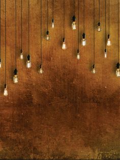 Vintage Hanging Lights Photography Backdrop - Photography backdrop featuring hanging Edison-style light bulbs against a brown Kraft Paper Backdrop, Vintage Hanging Lights, Missions Conference, Diy Backdrops, Conference Ideas, Banquet Ideas, Lights Photography, Backyard Trees, Edison Lighting