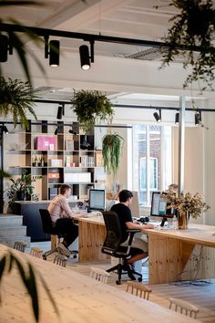 two people sitting at desks in an office with plants hanging from the ceiling and bookshelves