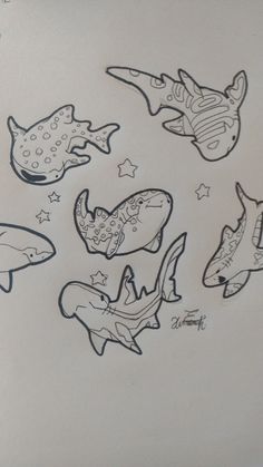 a drawing of different types of sharks