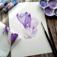 a watercolor painting of purple flowers on white paper