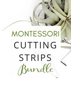 the montessor cutting strips bundle is shown with scissors and other items on it