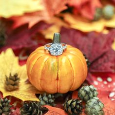 an orange pumpkin surrounded by fall leaves and pine cones with a diamond ring on top