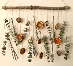 some dried oranges and leaves hanging on a wall