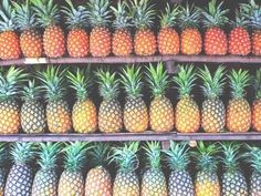 pineapples and oranges on shelves with the words next day shipping on all orders