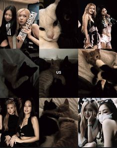 the collage shows two women and cats