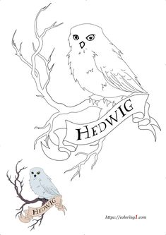 an owl sitting on top of a tree branch next to a banner that says hedwig