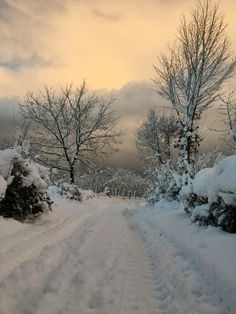 a snowboarder is going down a snowy road