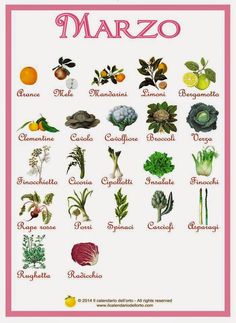 an illustrated poster with many different types of vegetables and their names in spanish, including oranges