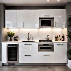 a modern kitchen with white cabinets and stainless steel appliances in the center, along with potted plants