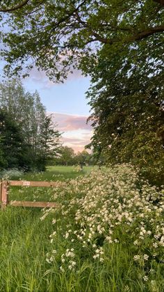 a wooden fence surrounded by tall grass and flowers