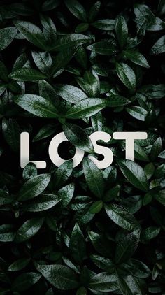 the word lost is surrounded by green leaves