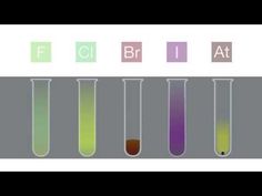 four test tubes filled with liquid and labeled with the word fib1 at bottom