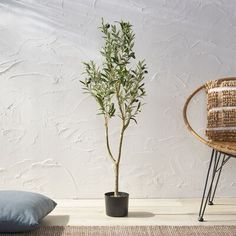 a potted plant sitting next to a pillow on the floor in front of a white wall