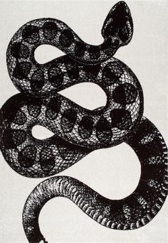 a black and white drawing of a snake