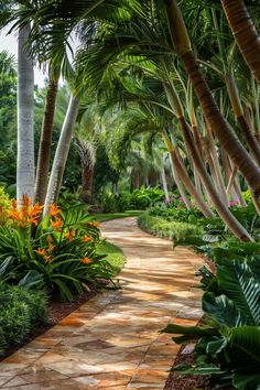 a pathway surrounded by palm trees and other tropical plants with orange flowers in the foreground